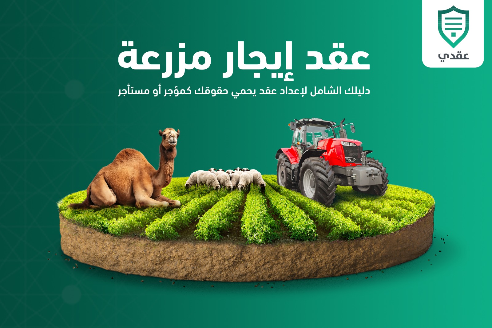 عقد إيجار مزرعة | دليلك الشامل لإعداد عقد يحمي حقوقك كمؤجر أو مستأجر